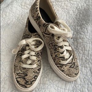 Women’s Size 7 Snake Skin Canvas Keds
